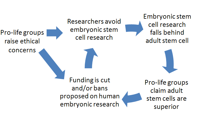 embryonic stem cells diagram. of embryonic stem cells,